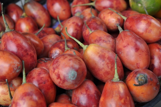 Tree Tomatoes at Otavalo Market